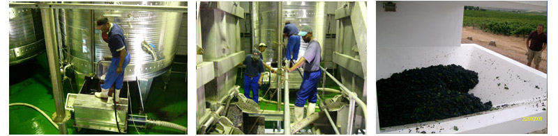 Goedverwacht cellar.jpg